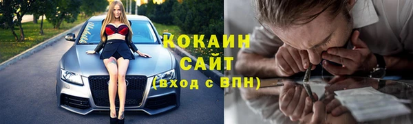 прущий лед Алзамай