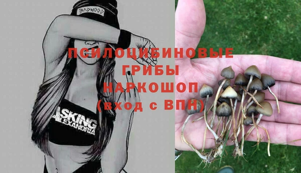 прущий лед Алзамай