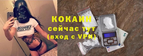 прущий лед Алзамай