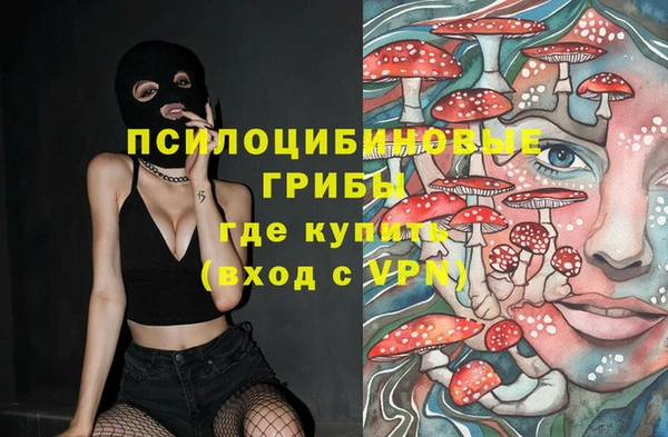спиды Алексин