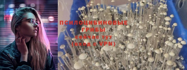 прущий лед Алзамай