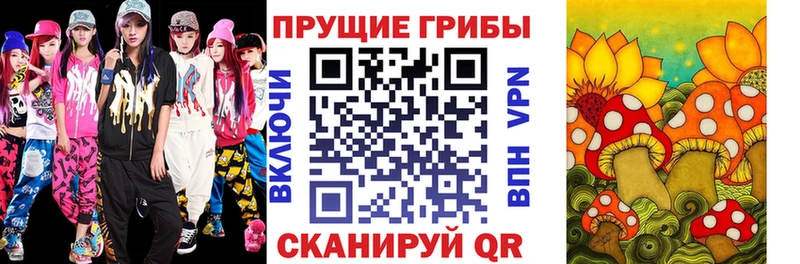 Галлюциногенные грибы мицелий  даркнет сайт  OMG ТОР  Белая Холуница 
